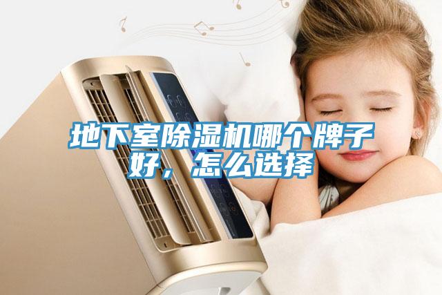 地下室小黄片直播视频哪个牌子好，怎么选择