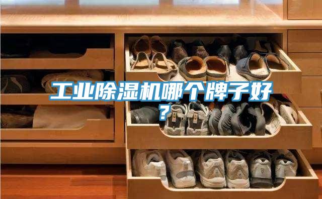 工业小黄片直播视频哪个牌子好？