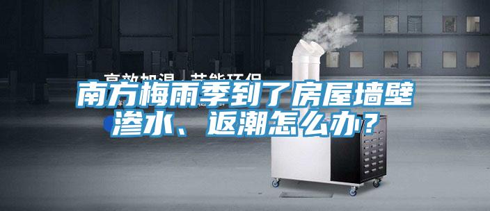 南方梅雨季到了房屋墙壁渗水、返潮怎么办？