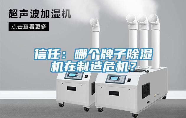 信任：哪个牌子小黄片直播视频在制造危机？