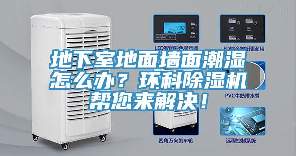地下室地面墙面潮湿怎么办？环科小黄片直播视频帮您来解决！