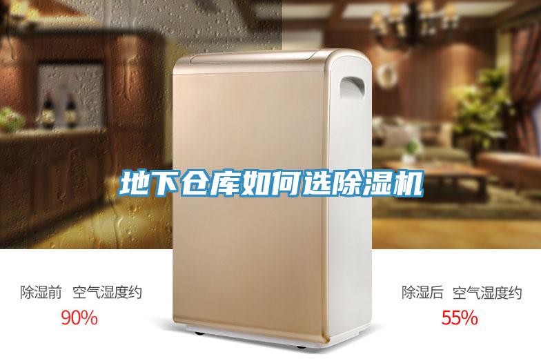 地下仓库如何选小黄片直播视频