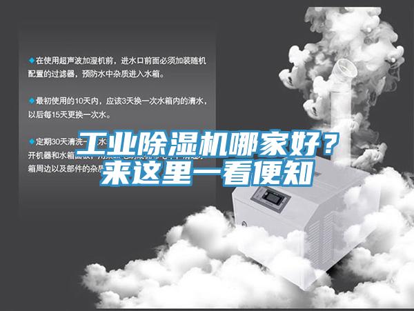 工业小黄片直播视频哪家好？来这里一看便知