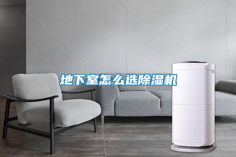 地下室怎么选小黄片直播视频
