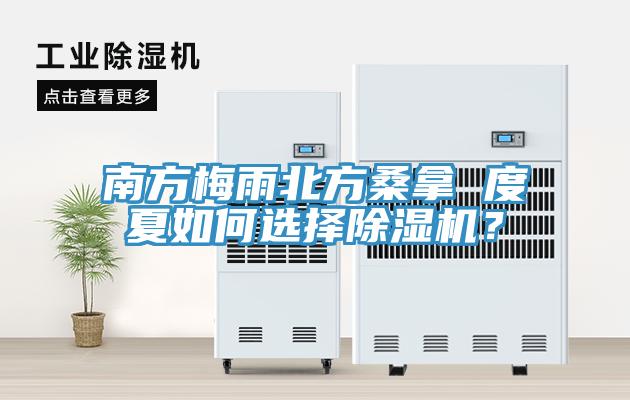 南方梅雨北方桑拿 度夏如何选择小黄片直播视频？