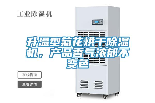 升温型菊花烘干小黄片直播视频，产品香气浓郁不变色