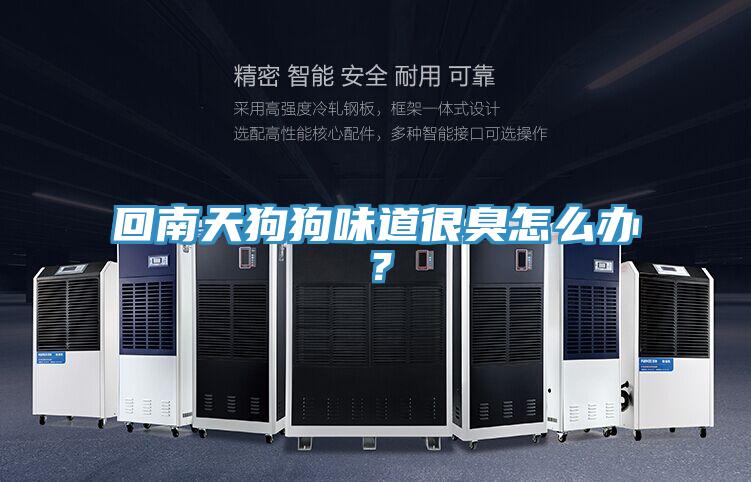回南天狗狗味道很臭怎么办？