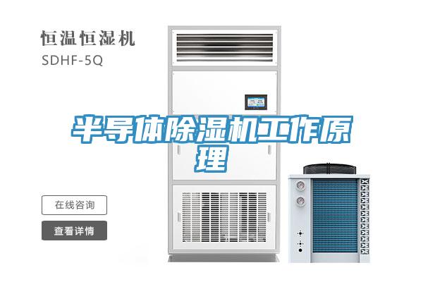 半导体小黄片直播视频工作原理