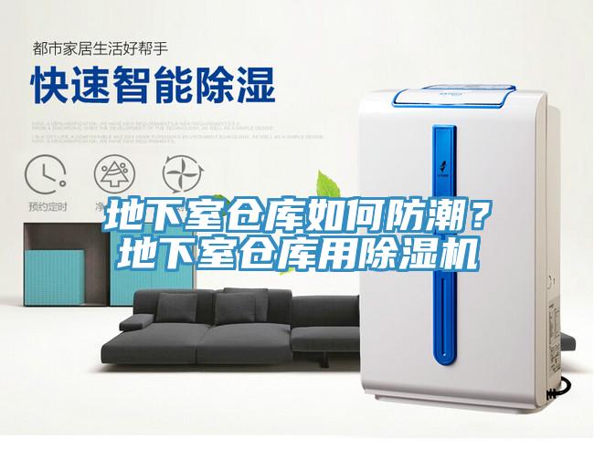 地下室仓库如何防潮？地下室仓库用小黄片直播视频