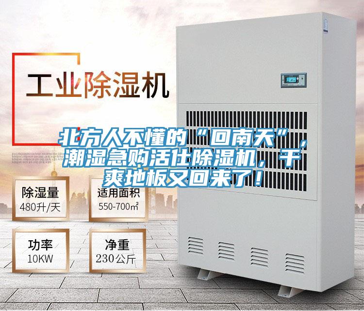 北方人不懂的“回南天”，潮湿急购活仕小黄片直播视频，干爽地板又回来了！