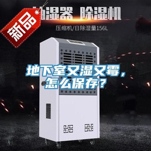 地下室又湿又霉，怎么保存？