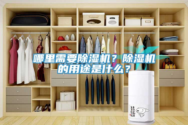 哪里需要小黄片直播视频？小黄片直播视频的用途是什么？