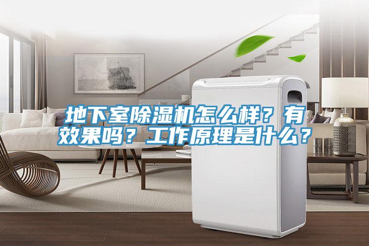 地下室小黄片直播视频怎么样？有效果吗？工作原理是什么？