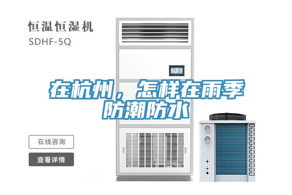 在杭州，怎样在雨季防潮防水