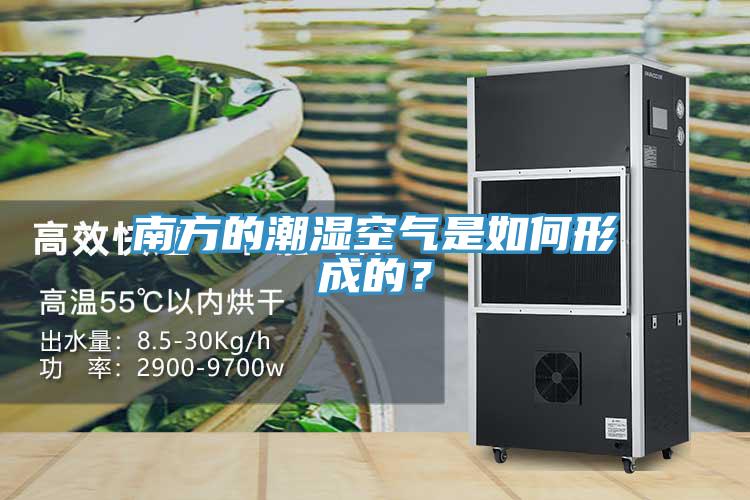 南方的潮湿空气是如何形成的？