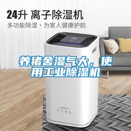 养猪舍湿气大，使用工业小黄片直播视频