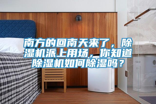南方的回南天来了，小黄片直播视频派上用场，你知道小黄片直播视频如何除湿吗？