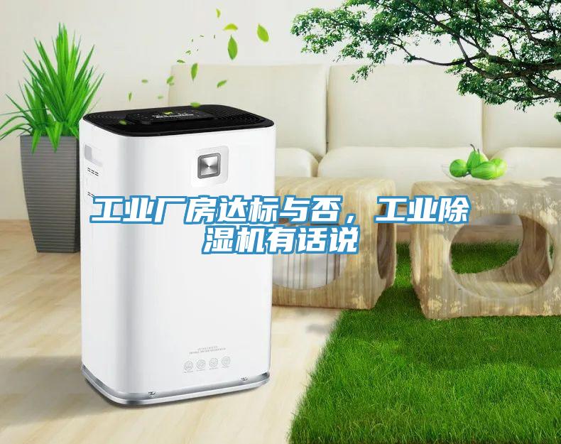 工业厂房达标与否，工业小黄片直播视频有话说