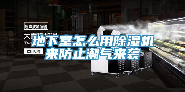 地下室怎么用小黄片直播视频来防止潮气来袭