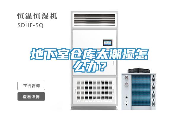 地下室仓库太潮湿怎么办？