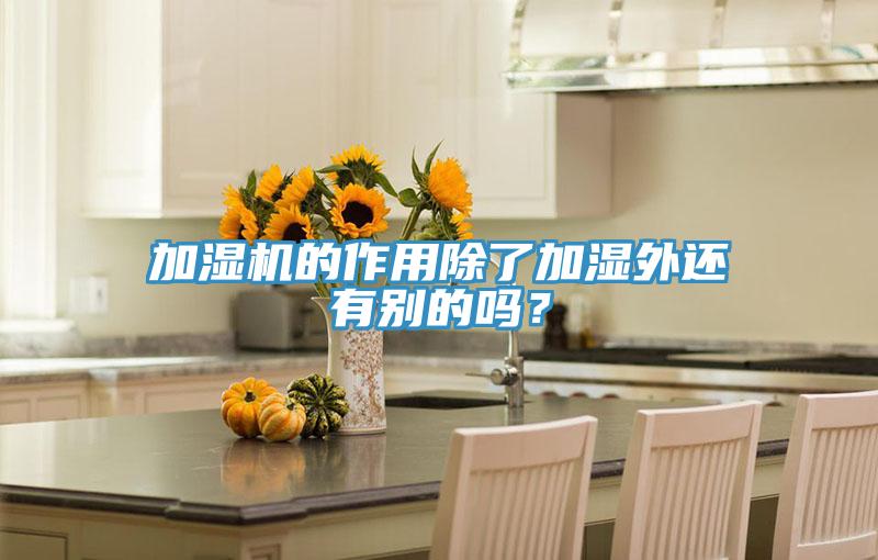 加湿机的作用除了加湿外还有别的吗？