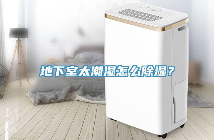 地下室太潮湿怎么除湿？