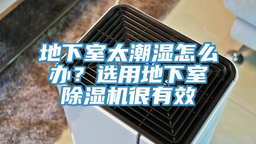 地下室太潮湿怎么办？选用地下室小黄片直播视频很有效