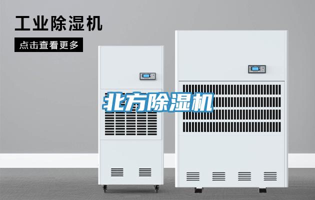 北方小黄片直播视频