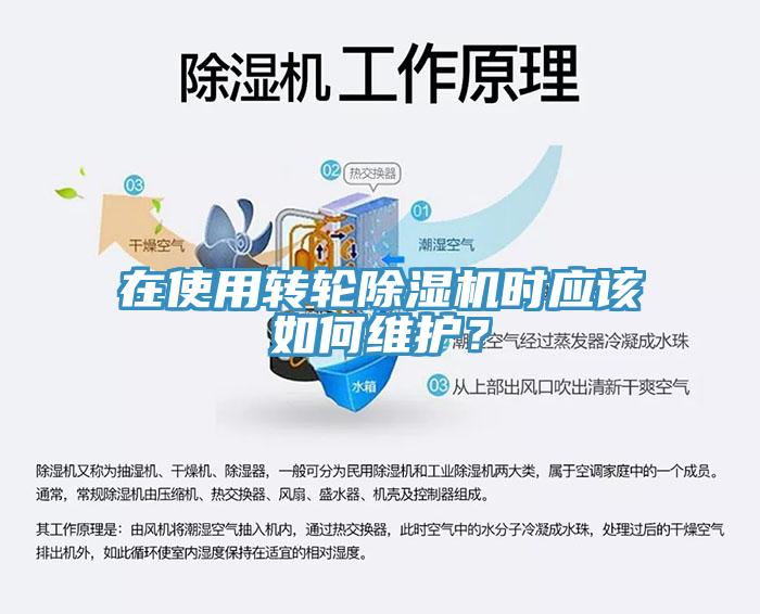 在使用转轮小黄片直播视频时应该如何维护？