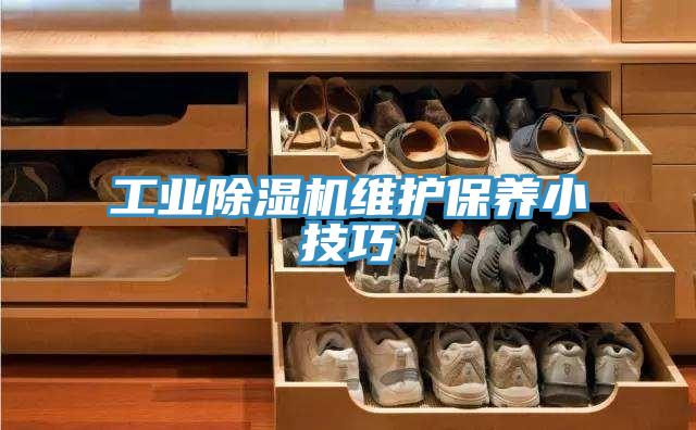 工业小黄片直播视频维护保养小技巧
