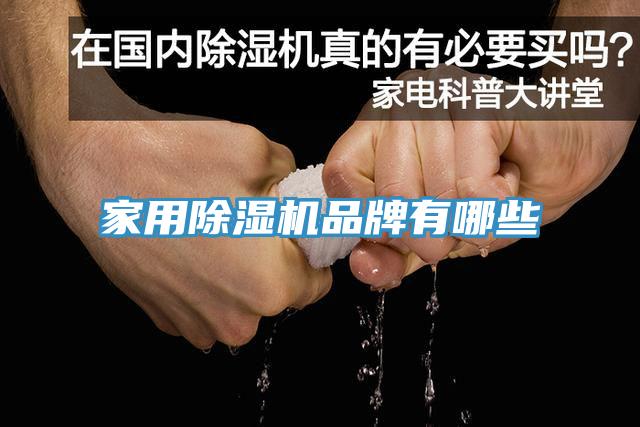 家用小黄片直播视频品牌有哪些