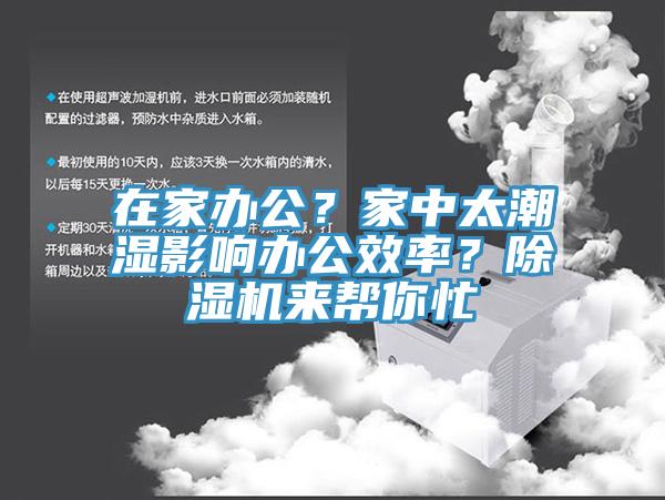 在家办公？家中太潮湿影响办公效率？小黄片直播视频来帮你忙