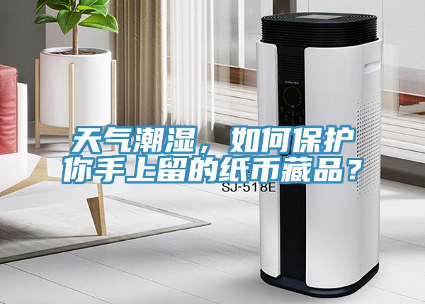 天气潮湿，如何保护你手上留的纸币藏品？