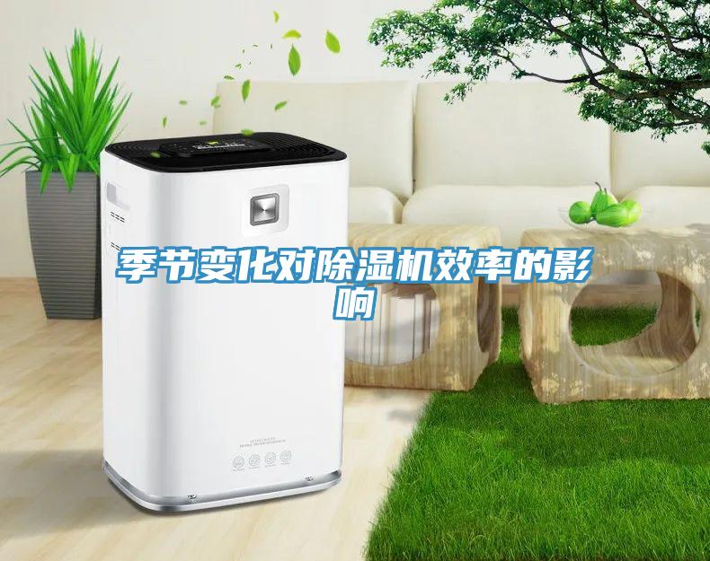 季节变化对小黄片直播视频效率的影响