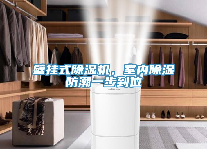 壁挂式小黄片直播视频，室内除湿防潮一步到位