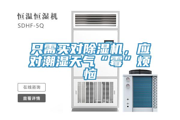 只需买对小黄片直播视频，应对潮湿天气“霉”烦恼