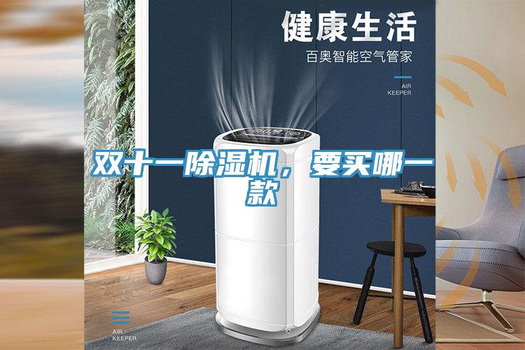 双十一小黄片直播视频，要买哪一款