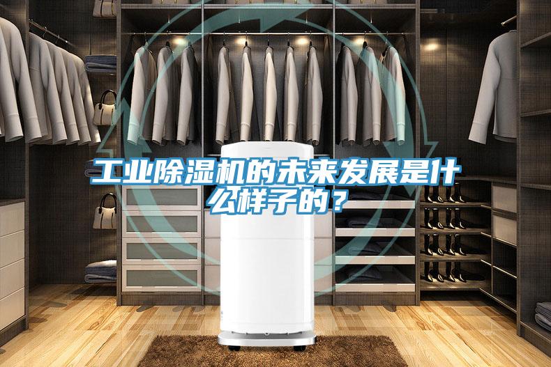 工业小黄片直播视频的未来发展是什么样子的？