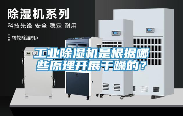 工业小黄片直播视频是根据哪些原理开展干躁的？