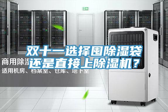 双十一选择囤除湿袋还是直接上小黄片直播视频？