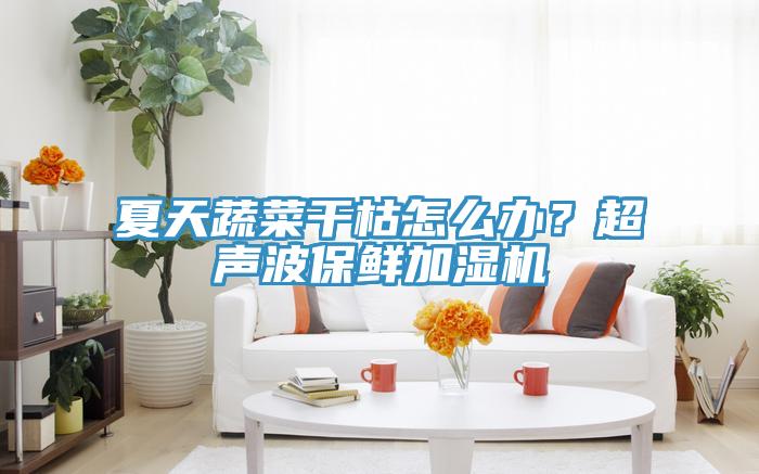 夏天蔬菜干枯怎么办？超声波保鲜加湿机