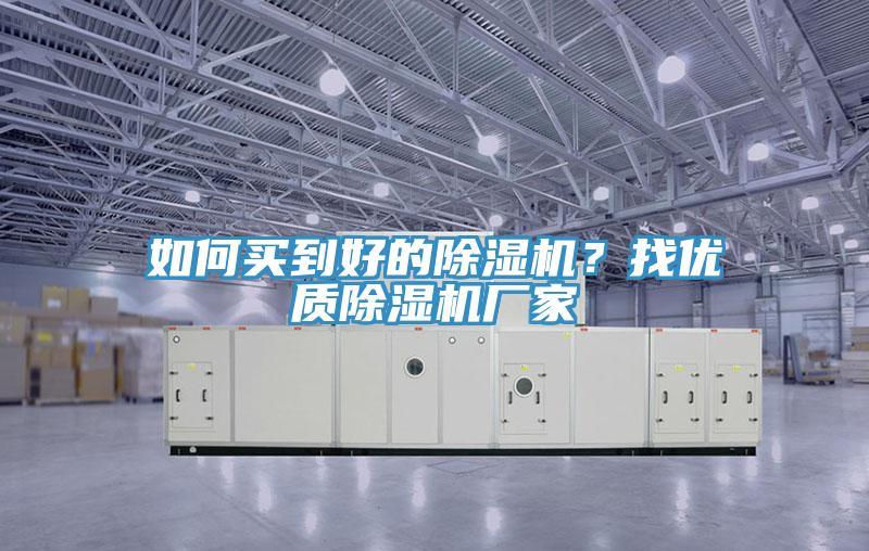 如何买到好的小黄片直播视频？找优质小黄片直播视频厂家