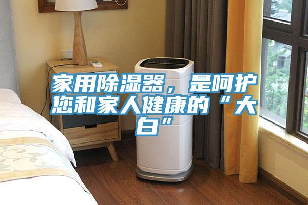 家用除湿器，是呵护您和家人健康的“大白”