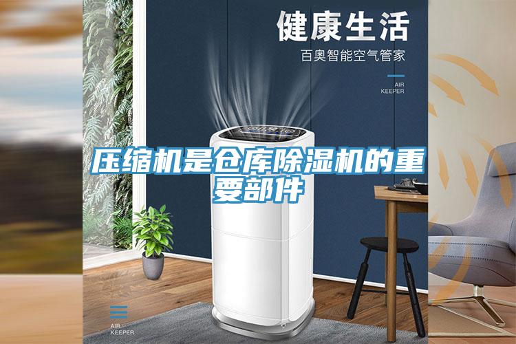 压缩机是仓库小黄片直播视频的重要部件