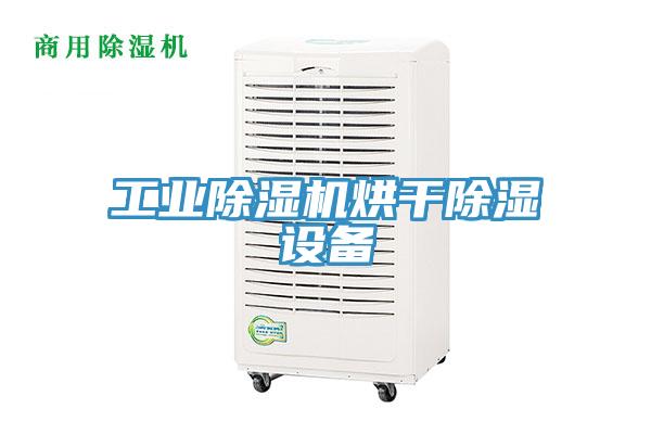 工业小黄片直播视频烘干除湿设备