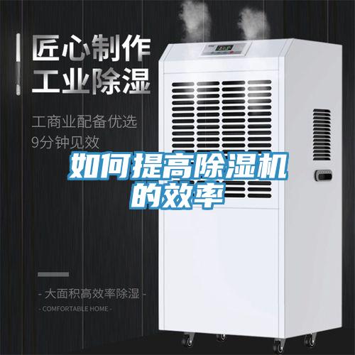 如何提高小黄片直播视频的效率