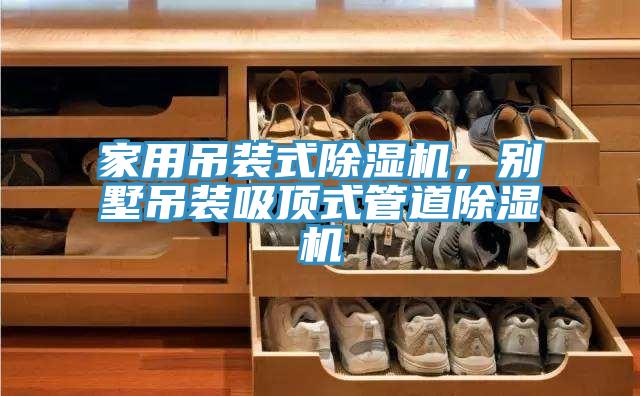 家用吊装式小黄片直播视频，别墅吊装吸顶式管道小黄片直播视频