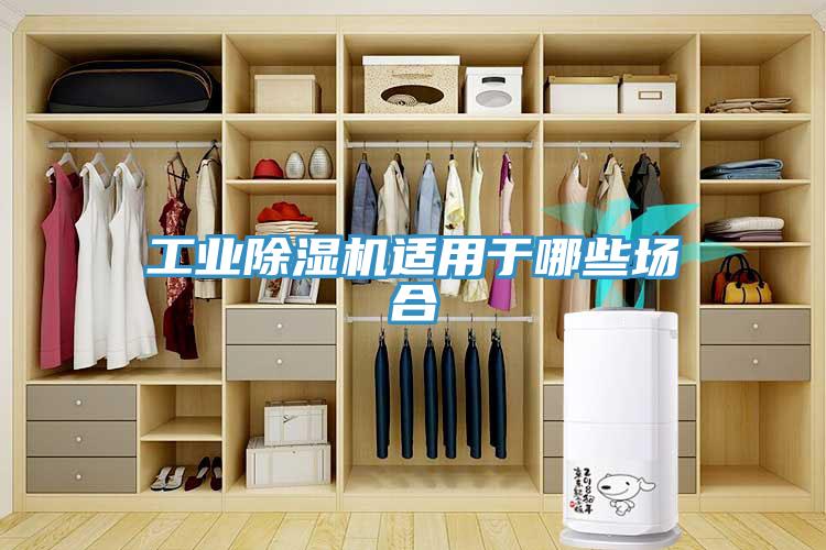工业小黄片直播视频适用于哪些场合