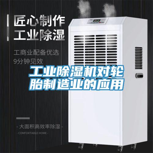 工业小黄片直播视频对轮胎制造业的应用
