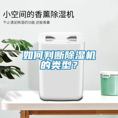 如何判断小黄片直播视频的类型？